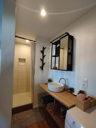 une salle de bain avec un lavabo et une douche dans l'établissement Fargeot, à Saint-Jean-de-Luz