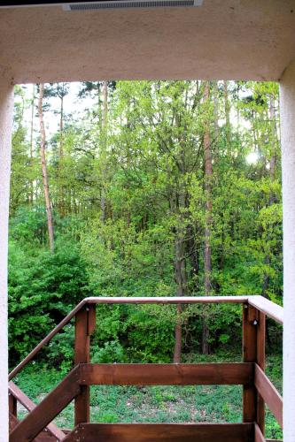 a view of a forest from a wooden balcony at Dom Pracy Twórczej Macondo in Miedzno