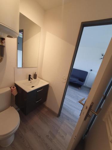 a bathroom with a toilet and a sink and a mirror at LES TERRASSES DE LA BARONNIE Appartement climatisé avec 1 chambre et piscine ouverte du 28 Mai 2025 au 28 Septembre 2025 in Le Grau-du-Roi