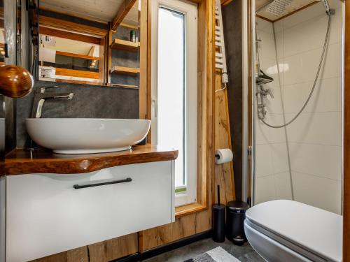 La salle de bains est pourvue d'un lavabo et de toilettes. dans l'établissement Prima Resort Boddenblick - Camping & Tiny House-Resort, à Groß Kordshagen