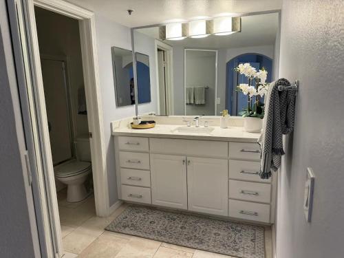 Koupelna v ubytování Luxury 2BR in Biltmore - Gated with Garage