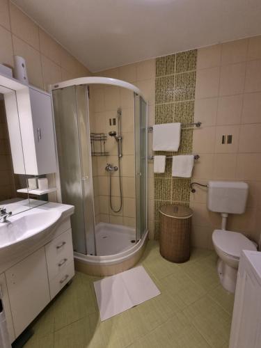 a bathroom with a shower and a toilet and a sink at Apartma Katarina's place in Bovec
