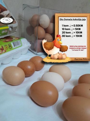 a bunch of eggs on a counter with a chicken and a sign at Dolores in Tešanj