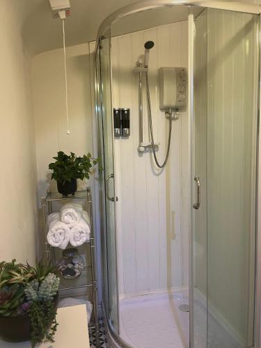 a shower with a glass door in a bathroom at Mountainside Cabin in Newcastle