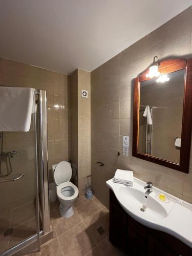 a bathroom with a toilet and a sink and a shower at Riviera 990 - Resort & Restaurant in Eşelniţa