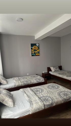 Gallery image of Hotel Mountain View Inn in Gusinje