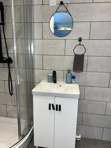 a bathroom with a sink and a shower and a mirror at studio bocagère in Amblainville