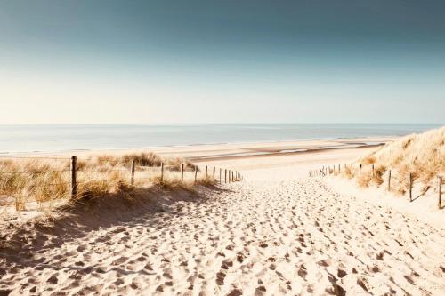 a sandy beach with the ocean in the background at Noordster Beachhouse, Noordwijk aan Zee in Noordwijk