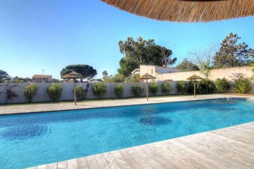 une piscine dans une cour clôturée dans l'établissement Villa moderne Cala Rossa Bay Les Oceanides, à Lecci