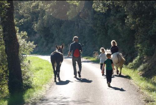 un grupo de personas caminando por un camino con un caballo en L'instant détente en Villarzel-du-Razès