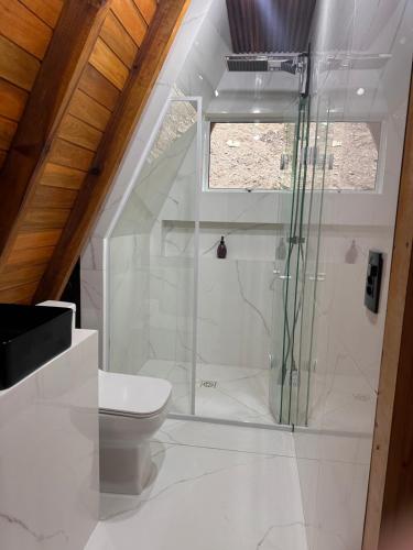 uma casa de banho com um chuveiro e um WC. em Chalé com Cachoeira em Witmarsum
