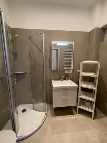 a bathroom with a shower and a sink and a ladder at 8 Ferienwohnung - Ferien Mittendrin in Schwerin