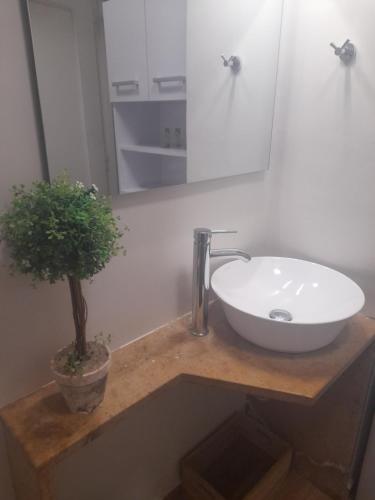 a bathroom with a sink and a potted plant at Studio Posh with garden in Kolonaki in Athens
