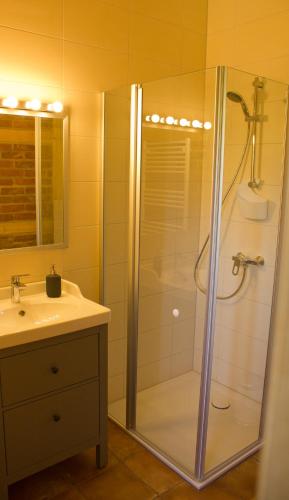 ein Badezimmer mit Dusche und Waschbecken in der Unterkunft An den Elbwiesen GZ FeWo Elbeblick Nur Nichtraucher in Greudnitz