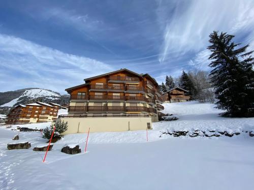 Studio tranquille avec balcon et parking proche centre Châtel