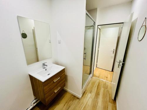 une salle de bain avec un lavabo et un miroir dans l'établissement Le François 1er - Studio entre Loire et Château Royal - Manoir de la Concorde, à Amboise