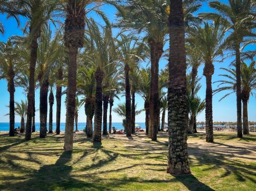 Sunsands Studio 1ºB playa76 Carihuela