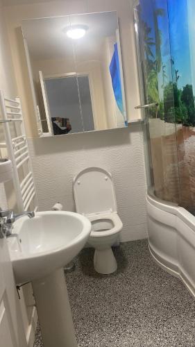 een badkamer met een wit toilet en een wastafel bij C.K. APARTMENT in Foleshill