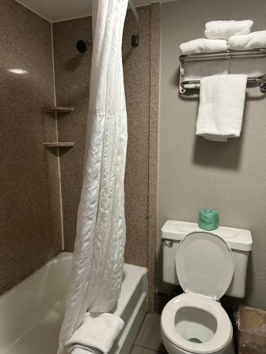 a bathroom with a toilet and a shower curtain at Days Inn & Suites by Wyndham Downtown Gatlinburg Parkway in Gatlinburg