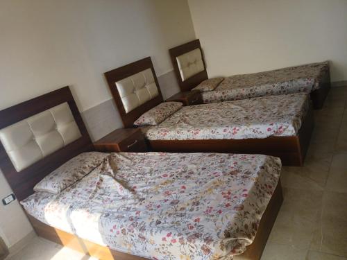 Habitación con 3 camas en una habitación en شاليه للايجار اليومي والاسبوعي, en Amán