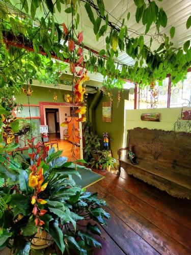 a living room with a couch and some plants at Hotel Aranjuez in San José