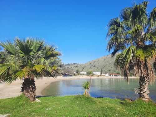 two palm trees on a beach next to a body of water at Gardenia - Morfi Village with pool in Exopoli