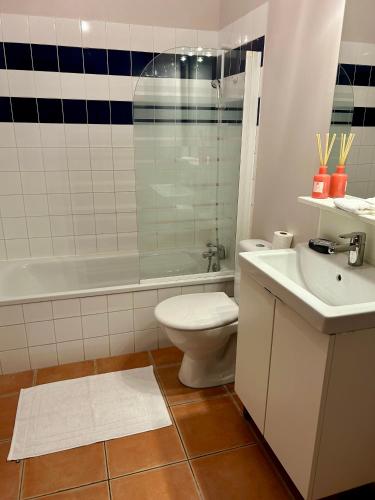 une salle de bain avec toilettes, lavabo et douche dans l'établissement Appartement T3 Avignon, proche centre-ville, à Avignon