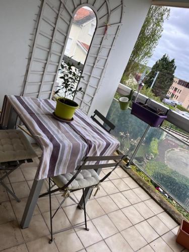 Bailly的住宿－Bel appartement 4 Pers pour JO，阳台上的桌子上放着盆栽植物