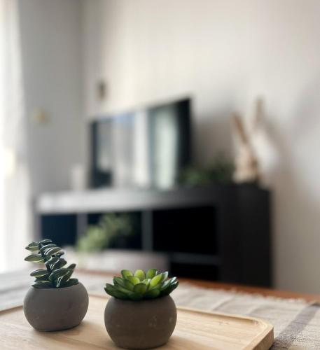 two plants sitting on a table in a living room at Varosi Apartment in Komotini