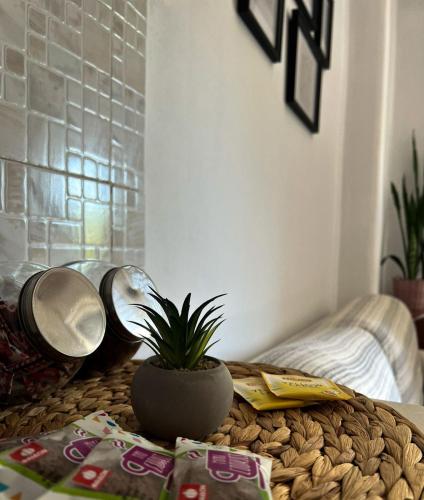 a table with a potted plant on top of it at Varosi Apartment in Komotini