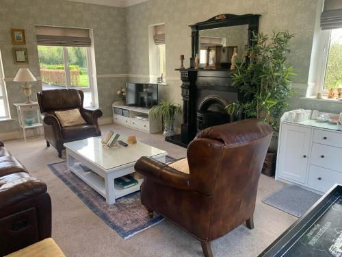 a living room with a leather chair and a fireplace at Dungimmon House in Ballyconnell