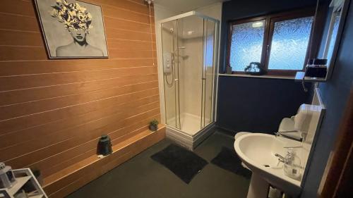 a bathroom with a shower and a toilet and a sink at Bryn Bettws Lodge in Port Talbot