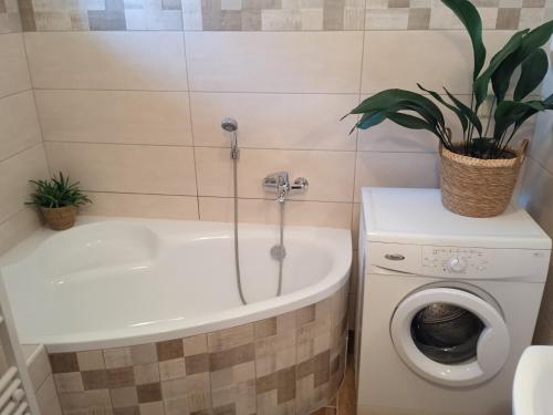 a bathroom with a tub and a washing machine at Chalupa Na Polní in Jemnice