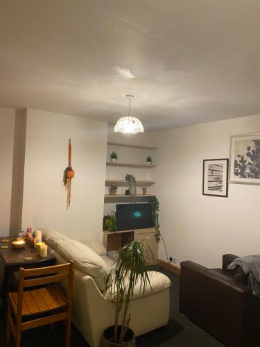 sala de estar con sofá y TV en Incredibly spacious King size Room with full Main Floor of the Flat!, en Oxford