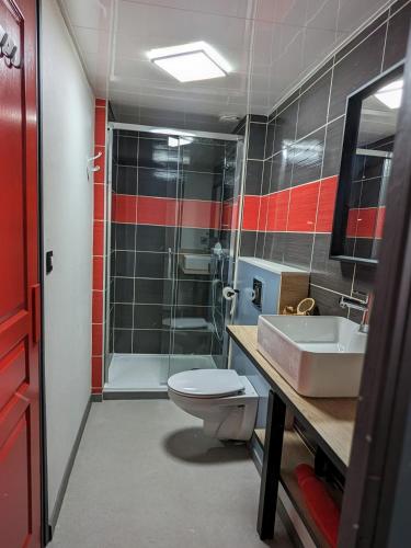 a bathroom with a toilet and a sink and a shower at La maison du 146 in Flavin