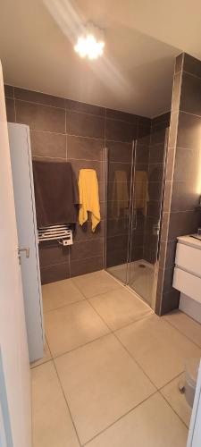 une salle de bain avec une douche avec une porte vitrée dans l'établissement Beau T3 - Meublé classé 3*- Vue dégagée sur Marina, à Canet