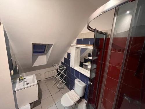 a bathroom with a shower and a toilet and a sink at Pokoje u Igi in Gdańsk