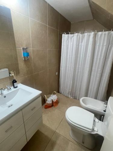 uma casa de banho com um WC, um lavatório e um chuveiro em El trébol em Tunuyán