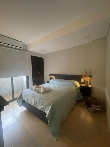 1 dormitorio con 1 cama grande y 2 almohadas en El trébol en Tunuyán