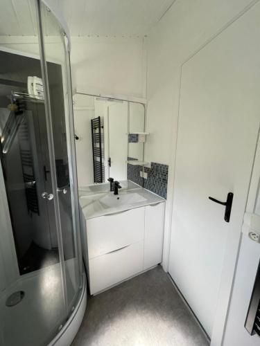 a white bathroom with a sink and a shower at Chalet T3 4/6 personnes à Agde in Agde
