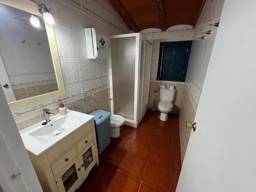 La salle de bains est pourvue d'un lavabo et de toilettes. dans l'établissement Casa Rural La Aldea, à San Clemente