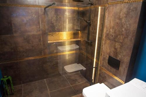 La salle de bains est pourvue d'une cabine de douche et de toilettes. dans l'établissement Apartamenty Paderewskiego 1, à Bydgoszcz