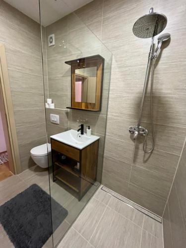 a bathroom with a shower with a sink and a toilet at For5 in Đakovo