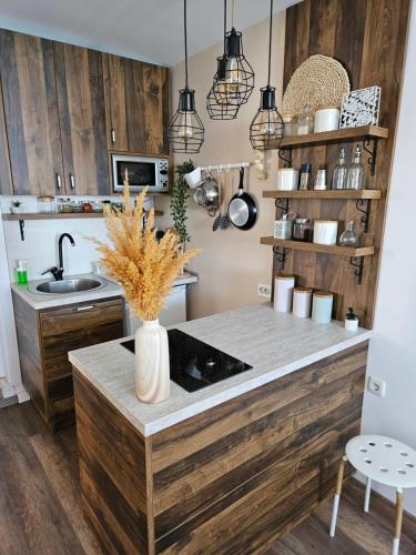 a kitchen with wooden cabinets and a counter with a vase at Apartmani Rustik Trpejca in Trpejca