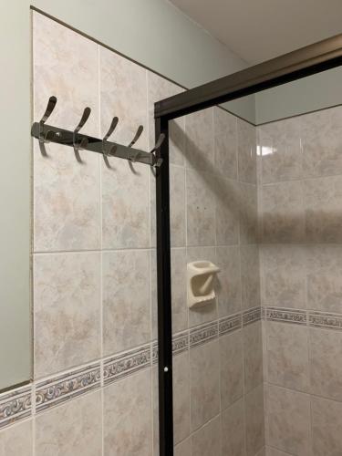 a shower with a glass door in a bathroom at Grand Hotel Betsy in Lima