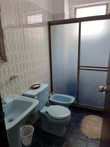 a bathroom with a blue toilet and a sink at Tranquilo DEPARTAMENTO SAN DIEGO in Valencia