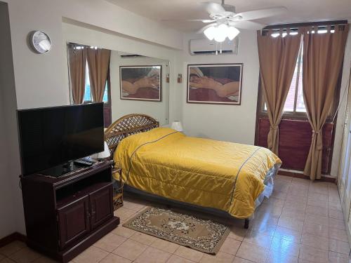 Campo de Carabobo的住宿－TRANQUILO Y ESPACIOSO DEPARTAMENTO AMBASSADOR，一间卧室配有一张床和一台平面电视