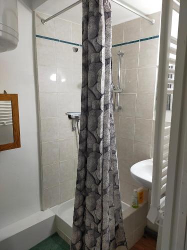 une salle de bain avec un rideau de douche et un lavabo dans l'établissement Au coeur de Chalabre, bastide médiévale, près du lac de Montbel, à Chalabre