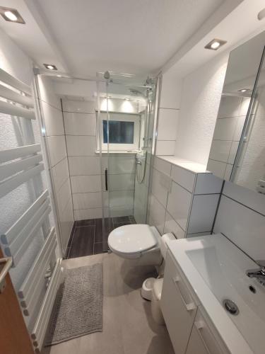 A bathroom at Monteur Apartment Schelklingen Biosphärenreservat