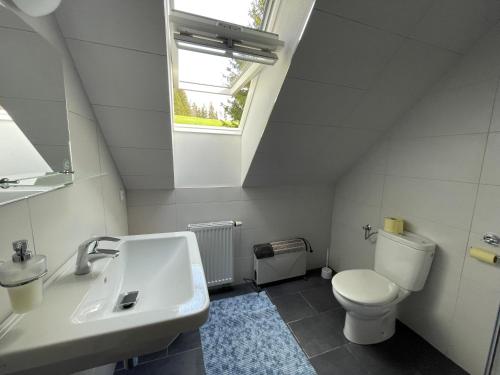 uma casa de banho com um lavatório, um WC e uma janela. em Hájovna u Jezerního potoka em Nová Pec